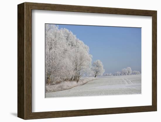 Fresh snowfall in winter scenery-Andrea Haase-Framed Photographic Print