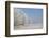 Fresh snowfall in winter scenery-Andrea Haase-Framed Photographic Print