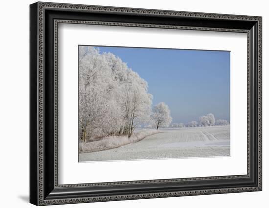 Fresh snowfall in winter scenery-Andrea Haase-Framed Photographic Print