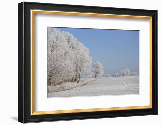 Fresh snowfall in winter scenery-Andrea Haase-Framed Photographic Print