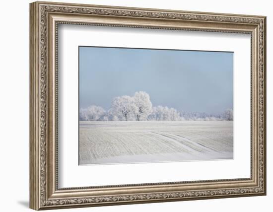 Fresh snowfall in winter scenery-Andrea Haase-Framed Photographic Print