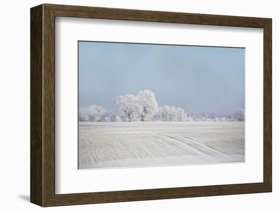 Fresh snowfall in winter scenery-Andrea Haase-Framed Photographic Print