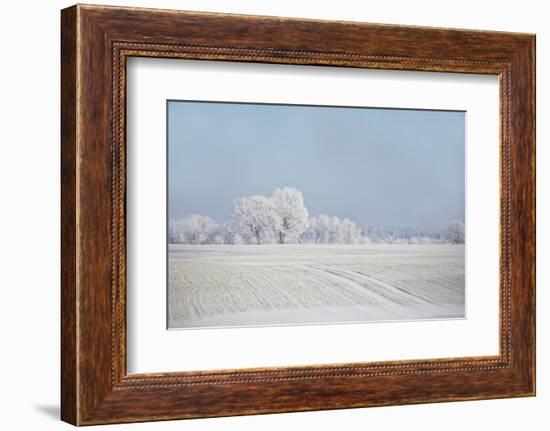 Fresh snowfall in winter scenery-Andrea Haase-Framed Photographic Print