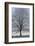 Fresh snowfall on bare broad-leaved tree-Andrea Haase-Framed Photographic Print