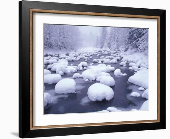 Fresh Snowfall on Denny Creek, Snowqualmie Summit, Cascades, Washington, USA-Darrell Gulin-Framed Photographic Print