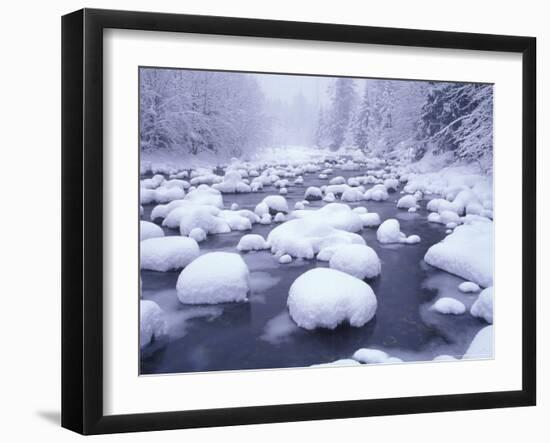 Fresh Snowfall on Denny Creek, Snowqualmie Summit, Cascades, Washington, USA-Darrell Gulin-Framed Photographic Print