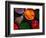 Fresh Spices for Sale at Sunday Market, Pisac, Cuzco, Peru-Mark Daffey-Framed Photographic Print