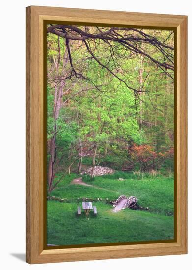 Fresh spreeng green leaves in the woods of Eagle Creek Park, Indianapolis, Indiana, USA-Anna Miller-Framed Premier Image Canvas