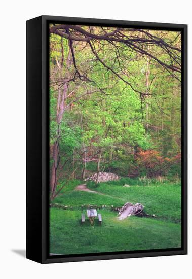 Fresh spreeng green leaves in the woods of Eagle Creek Park, Indianapolis, Indiana, USA-Anna Miller-Framed Premier Image Canvas