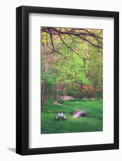 Fresh spreeng green leaves in the woods of Eagle Creek Park, Indianapolis, Indiana, USA-Anna Miller-Framed Photographic Print