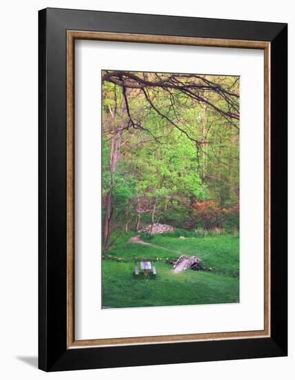 Fresh spreeng green leaves in the woods of Eagle Creek Park, Indianapolis, Indiana, USA-Anna Miller-Framed Photographic Print