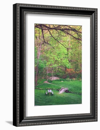 Fresh spreeng green leaves in the woods of Eagle Creek Park, Indianapolis, Indiana, USA-Anna Miller-Framed Photographic Print