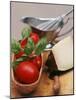 Fresh Tomatoes, Basil and Piece of Cheese, Sauce-Boat-null-Mounted Photographic Print