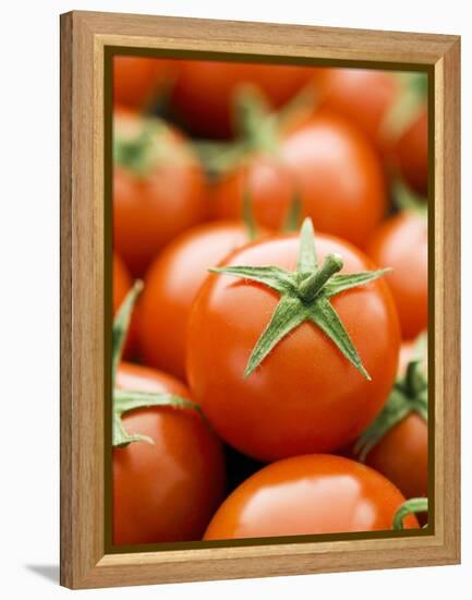 Fresh Tomatoes-Greg Elms-Framed Premier Image Canvas