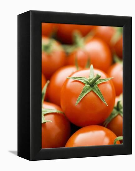 Fresh Tomatoes-Greg Elms-Framed Premier Image Canvas