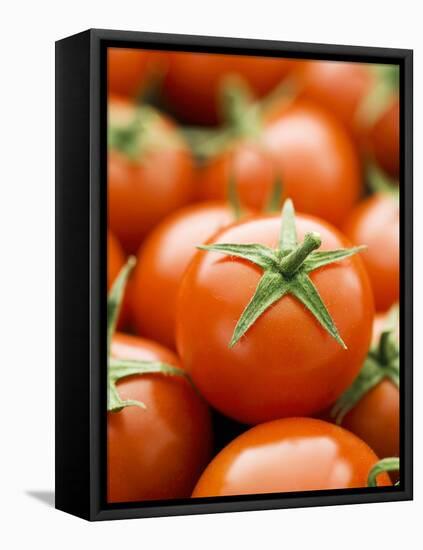 Fresh Tomatoes-Greg Elms-Framed Premier Image Canvas