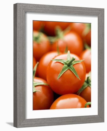 Fresh Tomatoes-Greg Elms-Framed Photographic Print