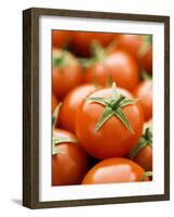 Fresh Tomatoes-Greg Elms-Framed Photographic Print