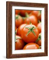 Fresh Tomatoes-Greg Elms-Framed Photographic Print