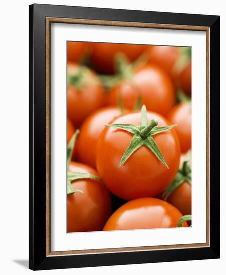 Fresh Tomatoes-Greg Elms-Framed Photographic Print