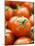 Fresh Tomatoes-Greg Elms-Mounted Photographic Print