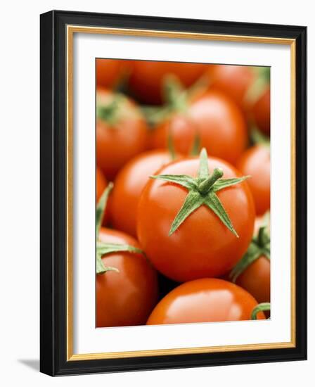 Fresh Tomatoes-Greg Elms-Framed Photographic Print