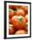 Fresh Tomatoes-Greg Elms-Framed Photographic Print