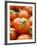 Fresh Tomatoes-Greg Elms-Framed Photographic Print