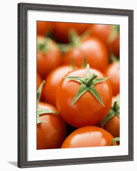 Fresh Tomatoes-Greg Elms-Framed Photographic Print