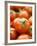 Fresh Tomatoes-Greg Elms-Framed Photographic Print