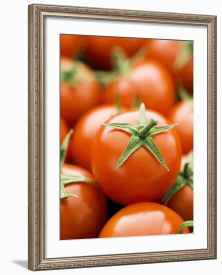 Fresh Tomatoes-Greg Elms-Framed Photographic Print