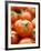 Fresh Tomatoes-Greg Elms-Framed Photographic Print