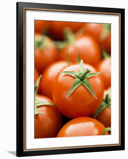 Fresh Tomatoes-Greg Elms-Framed Photographic Print