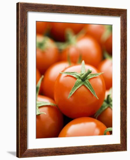 Fresh Tomatoes-Greg Elms-Framed Photographic Print