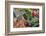 Fresh vegetable market, Bayeux, Normandy, France-Lisa S. Engelbrecht-Framed Photographic Print