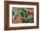 Fresh vegetable market, Bayeux, Normandy, France-Lisa S. Engelbrecht-Framed Photographic Print