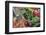 Fresh vegetable market, Bayeux, Normandy, France-Lisa S. Engelbrecht-Framed Photographic Print