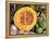 Fresh Vegetables and Fruits at the Local Market in St John's, Antigua, Caribbean-Kymri Wilt-Framed Premier Image Canvas