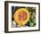 Fresh Vegetables and Fruits at the Local Market in St John's, Antigua, Caribbean-Kymri Wilt-Framed Photographic Print