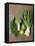 Fresh Vegetables, Dill and Limes-null-Framed Premier Image Canvas