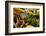 Fresh vegetables for sale at Pike Place Market in Seattle, Washington State.-Michele Niles-Framed Photographic Print