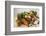 Fresh Vegetables, Fruit, Nuts, Flour, Cheese and Olive Oil-Foodcollection-Framed Photographic Print