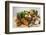 Fresh Vegetables, Fruit, Nuts, Flour, Cheese and Olive Oil-Foodcollection-Framed Photographic Print