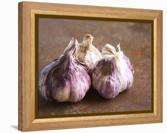 Fresh Violet and White Garlic, Clos Des Iles, Le Brusc, Cote d'Azur, Var, France-Per Karlsson-Framed Premier Image Canvas