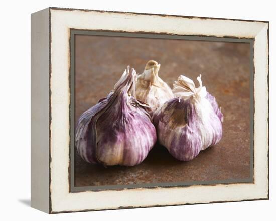 Fresh Violet and White Garlic, Clos Des Iles, Le Brusc, Cote d'Azur, Var, France-Per Karlsson-Framed Premier Image Canvas