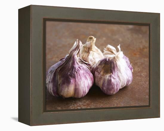 Fresh Violet and White Garlic, Clos Des Iles, Le Brusc, Cote d'Azur, Var, France-Per Karlsson-Framed Premier Image Canvas