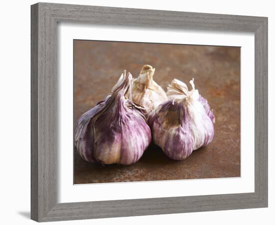 Fresh Violet and White Garlic, Clos Des Iles, Le Brusc, Cote d'Azur, Var, France-Per Karlsson-Framed Photographic Print