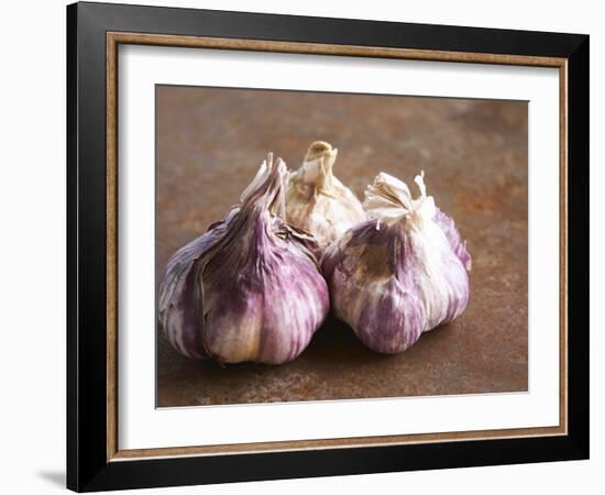 Fresh Violet and White Garlic, Clos Des Iles, Le Brusc, Cote d'Azur, Var, France-Per Karlsson-Framed Photographic Print