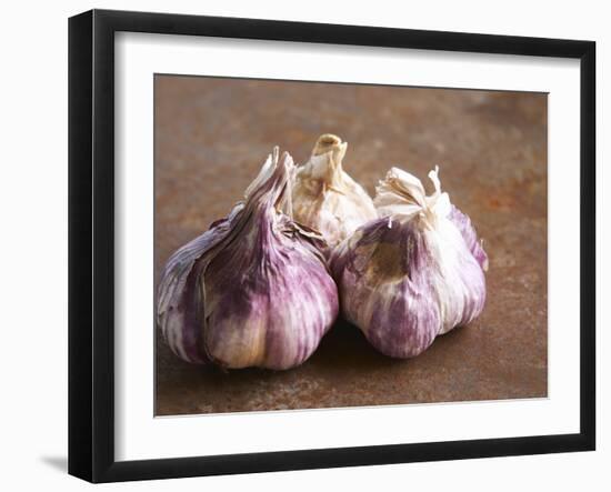 Fresh Violet and White Garlic, Clos Des Iles, Le Brusc, Cote d'Azur, Var, France-Per Karlsson-Framed Photographic Print