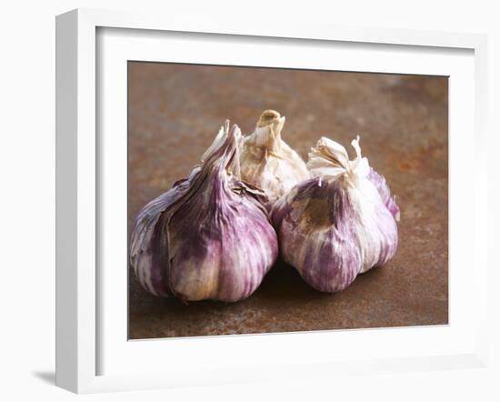 Fresh Violet and White Garlic, Clos Des Iles, Le Brusc, Cote d'Azur, Var, France-Per Karlsson-Framed Photographic Print